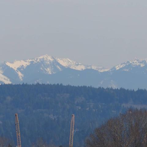 Photo by Neil E. Hodges on March 18, 2021. May be an image of tree and nature.