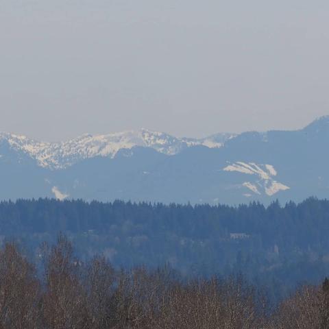 Photo by Neil E. Hodges on March 18, 2021. May be an image of tree and nature.