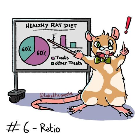 Drawing of a rat standing in front of a whiteboard. He's pointing to the board with a stick and pointing his finger up with the other hand. He has his mouth open, talking. On the whiteboard is written "HEALTHY RAT DIET" with a pie chart of 60% treats and 40% other treats.