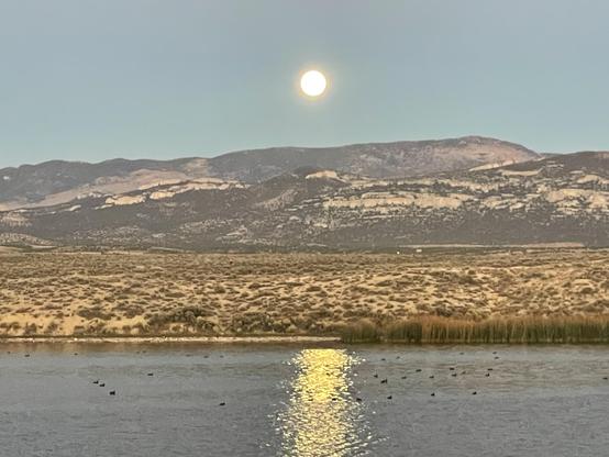 Moon with reflection rising over a lake with ducks