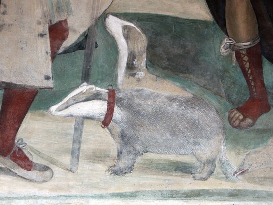 closeup of the two badgers, one in front in side profile with red collar and with a bird biting the tip of its tail, one behind looking up at its owner