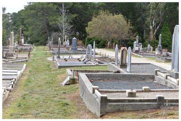 A wide angle view of a cemetery with rows of graves and headstones set into a grassy hill.

In the foreground, there are concrete grave surrounds filled with small grey gravel.

Beyond these, the cemetery slopes upward, with more varied and older headstones and monuments visible, including some tall obelisks.

The background is dominated by dense, dark green trees, with a few lighter, drier trees scattered among them, suggesting a bushland setting. The scene is slightly overcast.