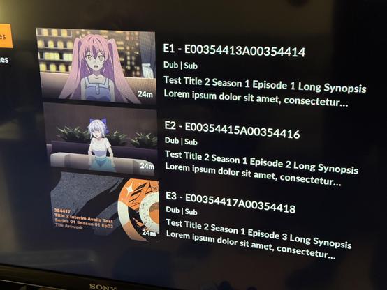 The first three episodes of “T00354409”. This is mostly a jumble of numbers and Lorem ipsum text, although the first two thumbnails aren’t placeholders; they’re from actual anime (which I can’t readily identify)