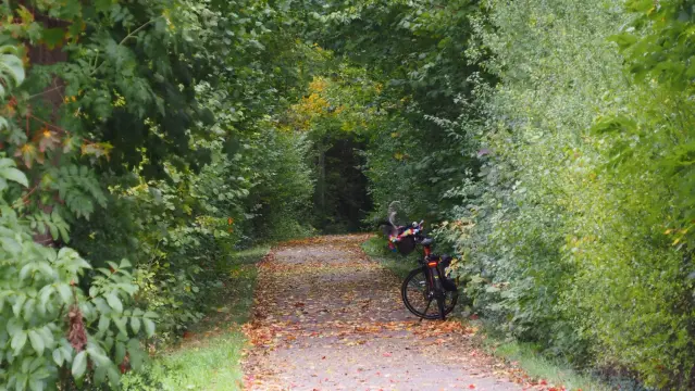 Herbstlicher Fahrradweg