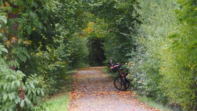 Herbstlicher Fahrradweg