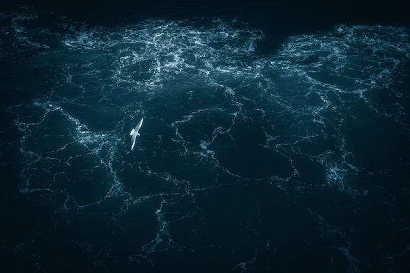 An aerial photograph of a single seabird with pale wings gliding over dark blue ocean water. The surface is streaked with white foam that forms intricate shapes resembling the outlines of continents on a map, creating the illusion of the bird flying over a miniature world.