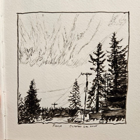 An ink drawing of a neighborhood in seattle with tall trees piercing the sky