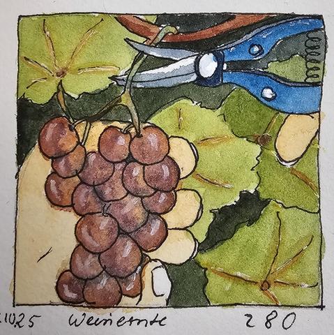 Aquarell: Vor Blättern hält eine Hand eine Traube und angedeutet schneidet eine andere mit einer schlanken Gartenschere die Rebe ab.