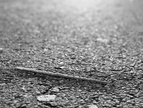 An elongated worm crosses the road. That’s all there is on the pic. (Version françæ) Un ver toux allongæ traverse læ route. On ne voit rien d’autre sur læ plan.