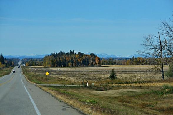 Looking out the side of the windshield, the highway stretches away straight into the distance on the left through mixed forest of dark conifers and golden poplars. Far away on the horizon slightly hazy blue snowcapped mountains rise. To the right a mowed grass ditch gives way to a side road or driveway with a few mostly bare trees/light tilling with pale stubble and black soil showing through. Some distance away, a dense stand of mixed woods shaped rather like a loaf of bread, with dark spruce and golden and partly/bare poplars rises at the edge of another, darker gold field. After that field, more mixed woods blends into the distant forest. The sky is blue, nearly clear with some faint thin clouds above the mountains.