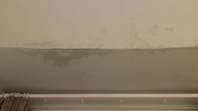 A closeup of the split in the old lathe and plaster where the water is coming through. The ceiling is bulging downwards in an ominous manner.