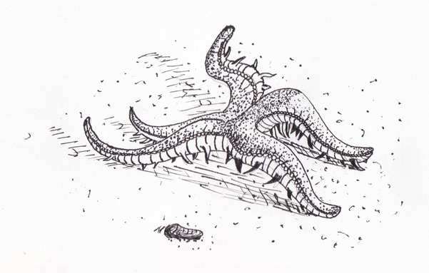 Starfish have little tentacles at the bottom. they lift their "legs" and feel the ground with these tentacles and walkt forward.. hard to describe..