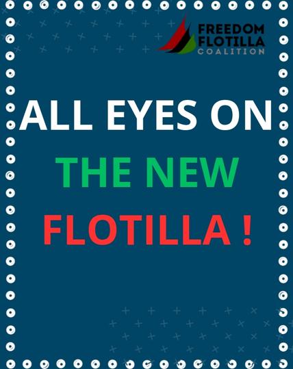 All eyes on the new Flottilla !