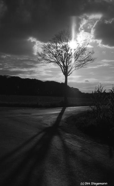 Sonnenuntergang im Münsterland