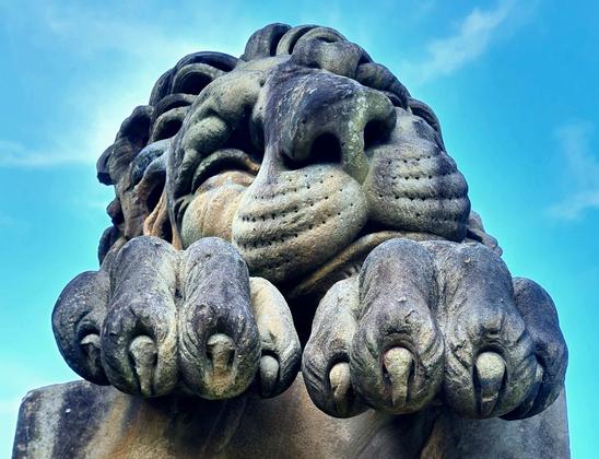 Looking up at a large sculpture of a sleeping lion.
