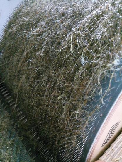 Eine Karden-Walze mit kardierten Brennnesselfasern. Der Verbund wirkt sehr zerfranst, viele Fasern stehen ab. Die Farbe ist hellgrüngrau.