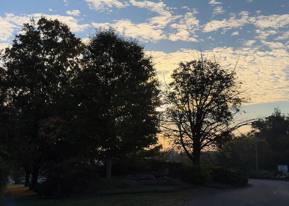 Autumn sunrise over the foliage