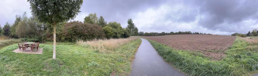 Landschaft bei Albisheim (Pfrimm)