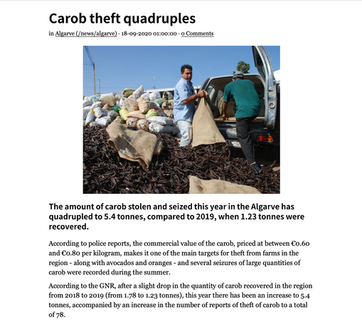 Screenshot from The Portugal News, Sept. 18, 2020 edition
Photo shows a hatchback SUV out of which burlap and woven plastic sacks full of carob pods are being dumped in a pile. Next to the car is a high pile of pods in sacks.
"Carob theft quadruples
in Algarve
The amount of carob stolen and seized this year in the Algarve has quadrupled to 5.4 tonnes, compared to 2019, when 1.23 tonnes were recovered.
According to police reports, the commercial value of the carob, priced at between €0.60 and €o.80 per kilogram, makes it one of the main targets for theft from farms in the region - along with avocados and oranges - and several seizures of large quantities of carob were recorded during the summer.
According to the GNR, after a slight drop in the quantity of carob recovered in the region from 2018 to 2019 (from 1.78 to 1.23 tonnes), this year there has been an increase to 5.4 tonnes, accompanied by an increase in the number of reports of theft of carob to a total of 78.