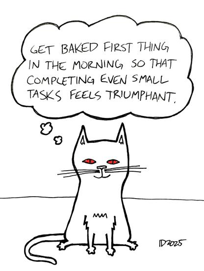 a cat with bloodshot eyes sits and thinks "get baked first thing in the morning so that completing even small tasks feels triumphant."