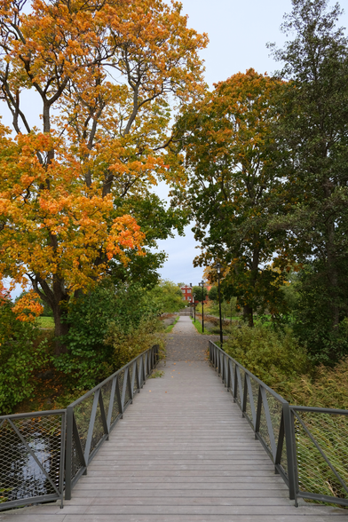 A wooden pier leading up to a path to a mansion surrounded by trees in autumn colours