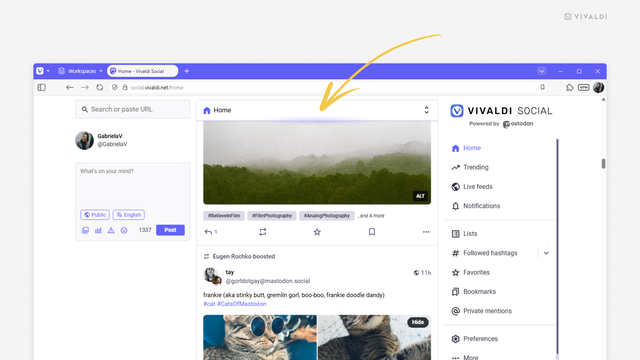 Vivaldi Social's homepage open in the Vivaldi browser. An arrow points at the header of the feed.