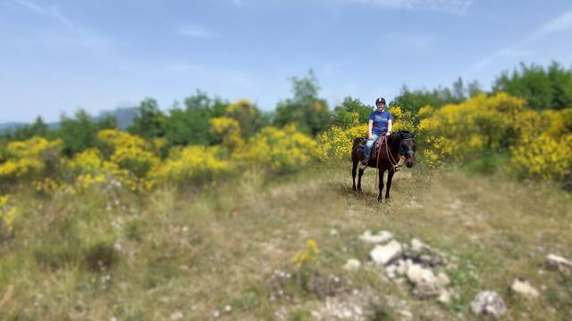 the author on a horse