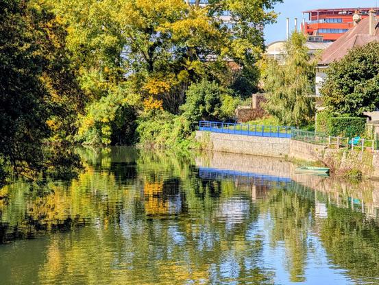 Bord de la rivière Huisne avec des frondaisons qui se reflètent et des bâtiments plus citadins côté "Le Mans".