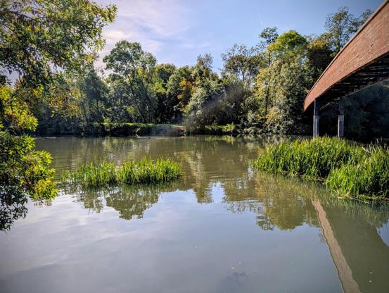 Vue sur le parc et la rivière depuis le pont (en-dessous) qui mène au parc depuis le centre ville du Mans.