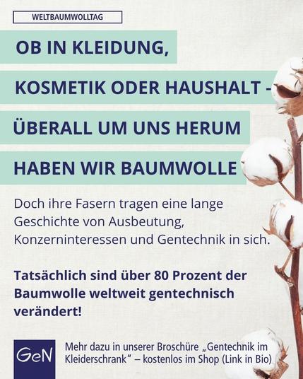 „Grafik zum Weltbaumwolltag mit dem Text: ‚Ob in Kleidung, Kosmetik oder Haushalt – überall um uns herum haben wir Baumwolle. Doch ihre Fasern tragen eine lange Geschichte von Ausbeutung, Konzerninteressen und Gentechnik in sich. Tatsächlich sind über 80 Prozent der Baumwolle weltweit gentechnisch verändert!‘ Rechts im Bild: Nahaufnahme einer geöffneten Baumwollkapsel. Unten steht: ‚Mehr dazu in unserer Broschüre „Gentechnik im Kleiderschrank“ – kostenlos im Shop (Link in Bio).‘“