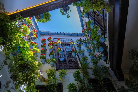 Salón de los Barriles. (SHAKTI DE RACO/Cortesía de El Pimpi)
