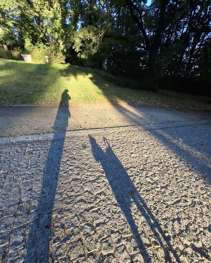 Zdjęcie cieni na ścieżce