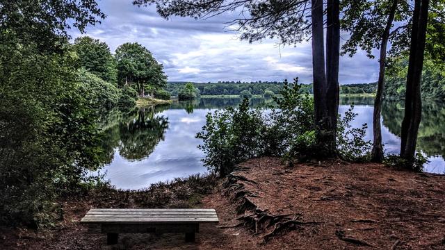 Standing in a pine grove on the shore of a large cove on an even larger lake. Beneath the pines, the forest floor is mostly open and coated in fallen needles except for a few small leafy shrubs. Straight ahead, the far shore of the lake is heavily wooded, as are the other two sides of the cove to our left and right. On the left shore, an American flag, a fence and a small manmade beach are the only hints of a small summer camp. A gentle breeze has kicked up, rippling the waters of the lake. Dark gray clouds are quickly piling up overhead. It appears a storm is moving in.