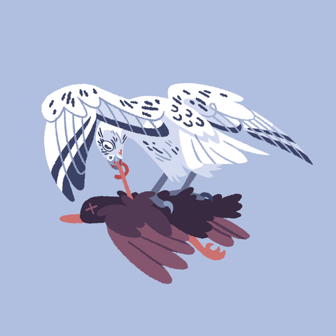 A painting of a gyrfalcon standing on a dead duck, pulling out some entrails to eat.
