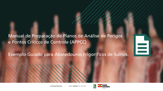 Imagem de capa da notícia, infelizmente por ser um bot hospedado gratuitamente, não consigo gerar texto alternativo!