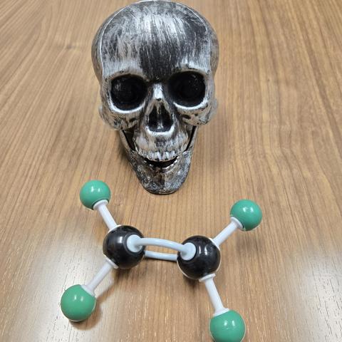Organic chemistry molecular model kit set on a wooden counter with a silver, skull decoration immediately next to it. The model with two black balls with angled connections between them and two green balls coming off each of the black balls. It is intended to be a model of tetrachloroethylene.