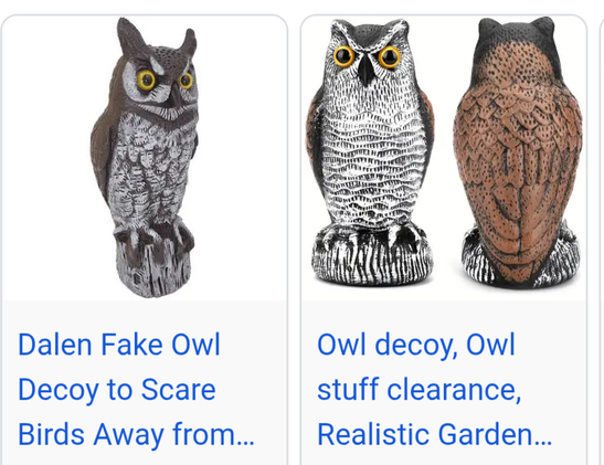 plastic fake owls