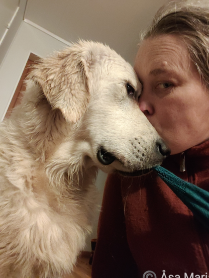 Ozzy valp som vägrar längs ifrån sig min halsduk trots att han blir uppsnugglad på nosen - och kanske var det det som var meningen hela tiden.