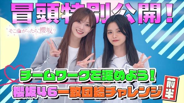 【#守屋麗奈 が衝撃サーブ】そこ曲がったら、櫻坂？ チームワークを深めよう！櫻坂46一致団結チャレンジ 前半 冒頭特別公開