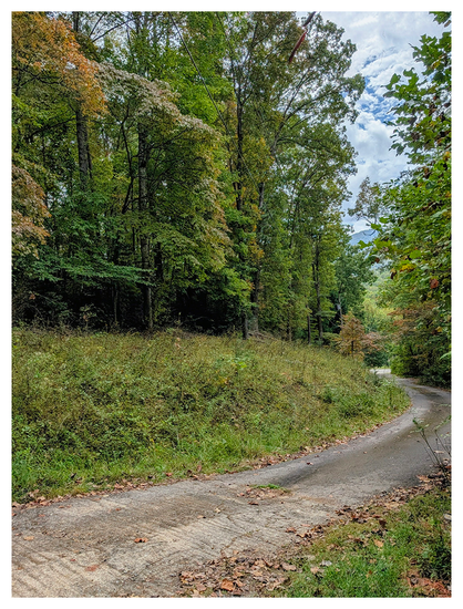 A narrow, winding concrete path curves through dense, green forest. Tall trees with early autumn leaves border the road, while grass and undergrowth line the edges. The sky is partly cloudy and in the far distance, part of a wooded mountain peak is visible.