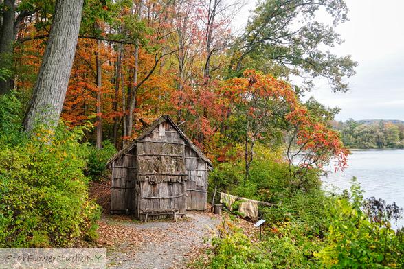 A bark longhouse on the shores of a lake with bright orange fall foliage behind it.