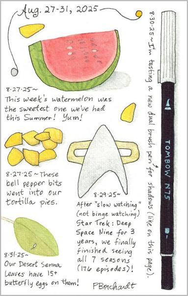 My Illustrated Journal watercolor and pen art for Aug. 27-31, 2025: watermelon slice, yellow bell pepper bits, Desert Senna leaf with tiny butterfly egg, Star Trek Deep Space Nine logo, and Tombow N75 light gray dual brush pen.