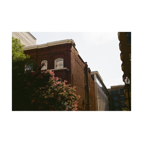 Picture of a building and a tree in the early morning in DuPont, Washington DC