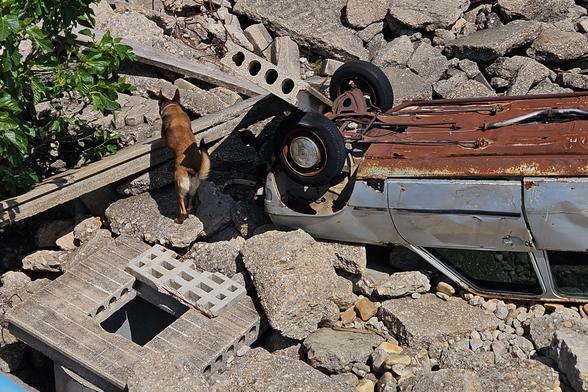 Un perro de rescate olfatea en una estructura colapsada, en una imagen de archivo
