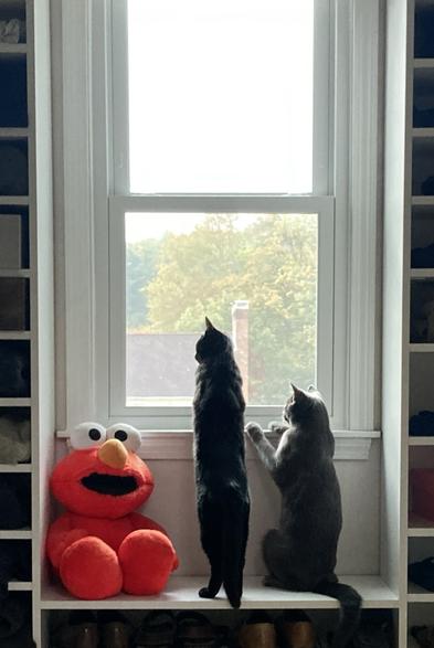 Chroma and Magic on patrol with Elmo.
