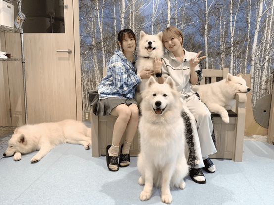 Maeda Kaori and Tomita Miyu from「“Chousa no Goirai、Omachi Shitemasu！”」#136🔎🐾