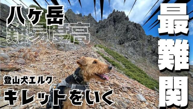 ELK&NOEL  八ヶ岳最難関ルート キレットに挑む！〜過去動画編〜 #002 【赤岳・権現岳】