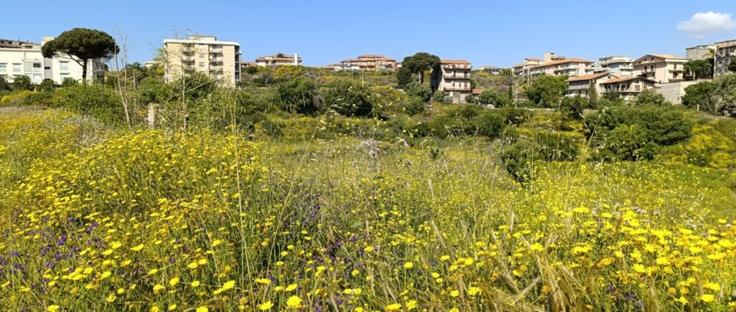 ex centro direzionale Cibali, area estesa fiorita