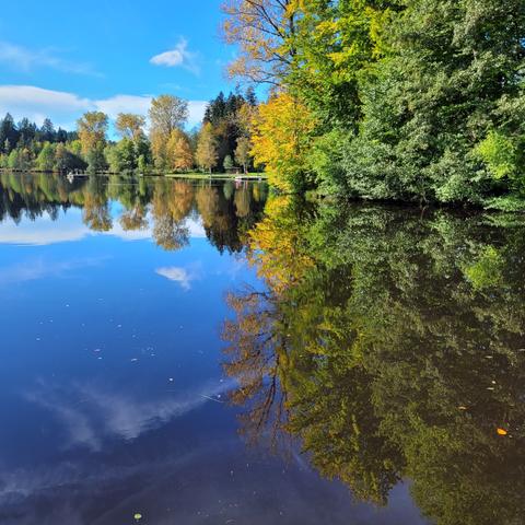 Ein See. Rechts Bäume und Büsche teilweise gelb gefärbt und im Wasser gespiegelt.