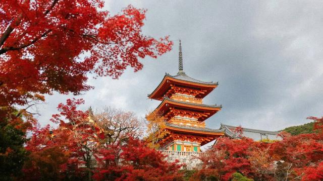 Kyoto To Introduce Japan’s Highest-Ever Hotel Tax From 2026 To Curb Overtourism
